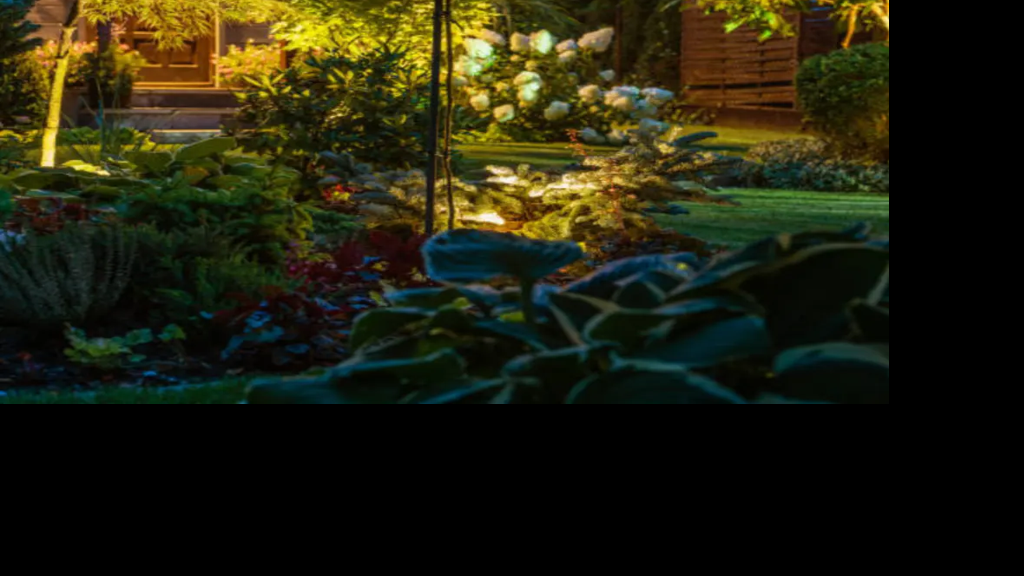 Future-Proofing Your Yard: How to Design Landscape Lighting That Evolves with Plant Growth