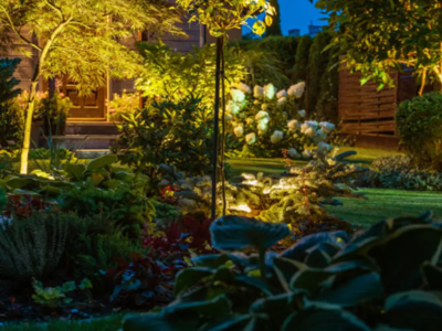 Future-Proofing Your Yard: How to Design Landscape Lighting That Evolves with Plant Growth