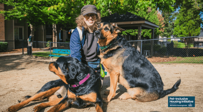 Service Animal Registration and ADA Rules Explained