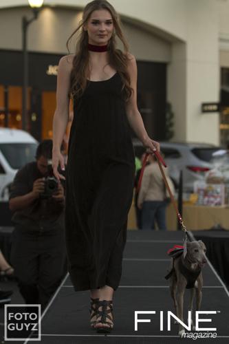 Photos by Will Grayson of Foto Guyz