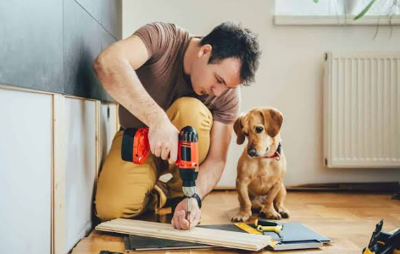 Helping Dogs Stay Comfortable During Home Renovations and Household Projects