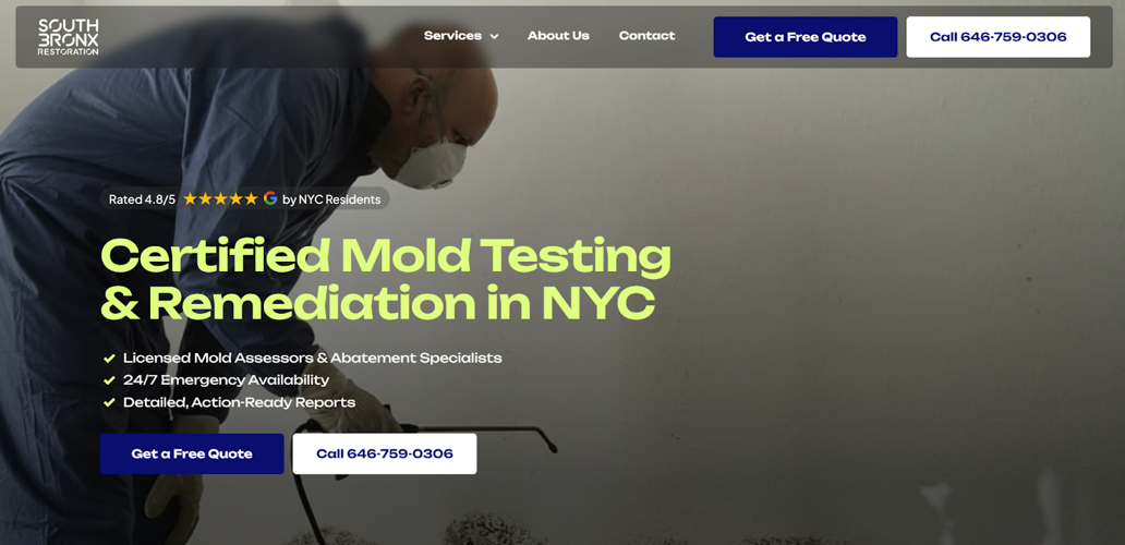 What Is The Best Mold Inspection Company In NYC? 7 Best Reviewed