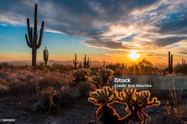 Moving To Scottsdale, AZ With Moving at Ease