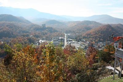 The New Trend of Micro-Experiences in Food and Drink Tourism