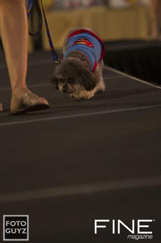 Photos by Will Grayson of Foto Guyz