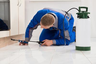 7 Tips for Hiring Local Pest Control Services