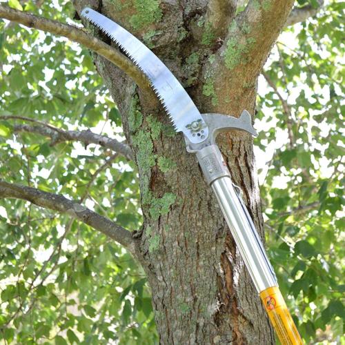 Getting Your Yard and Trees Ready for the Fall