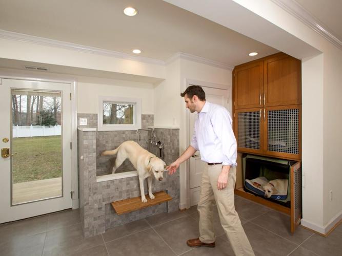 8 Tips for Designing the Perfect Pet-Friendly Home