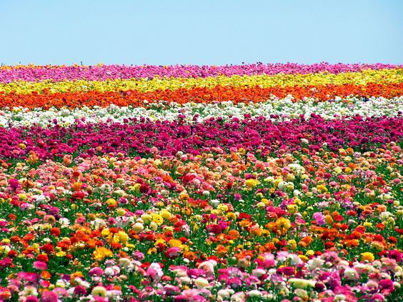 San Diego’s Secret Spots to See