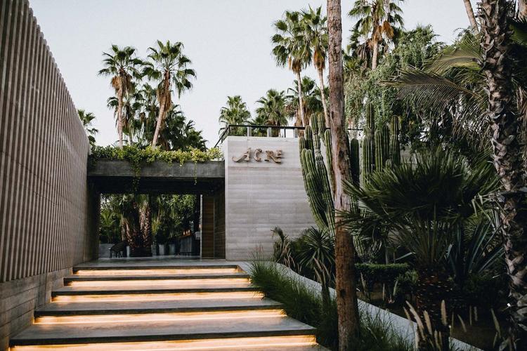 Acre Resort Los Cabos Unveils a New Kind of Wild Luxury