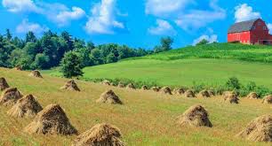 Travel To Ohio On A Spontaneous Midwestern Getaway