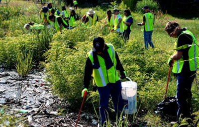 How Cleanup Projects Restore Sites In Arlington?