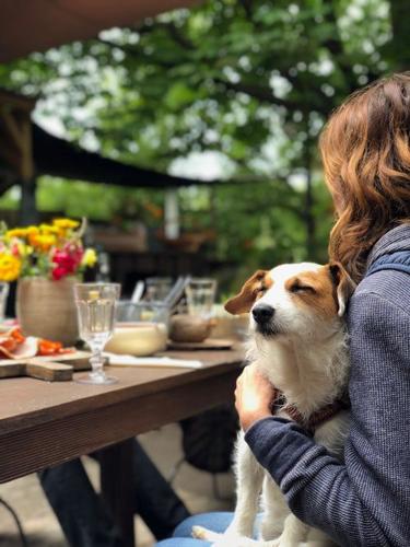 Best Dog-Friendly Restaurants in San Diego
