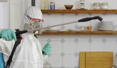 Eco-Friendly Pest Control Solutions for Luxury Homes