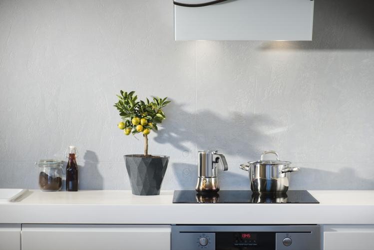Kitchen with a citrus tree on the counter has an element of the outdoors inside