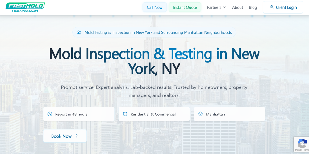 What Is The Best Mold Inspection Company In NYC? 7 Best Reviewed