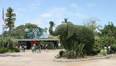 Explore the San Diego Zoo