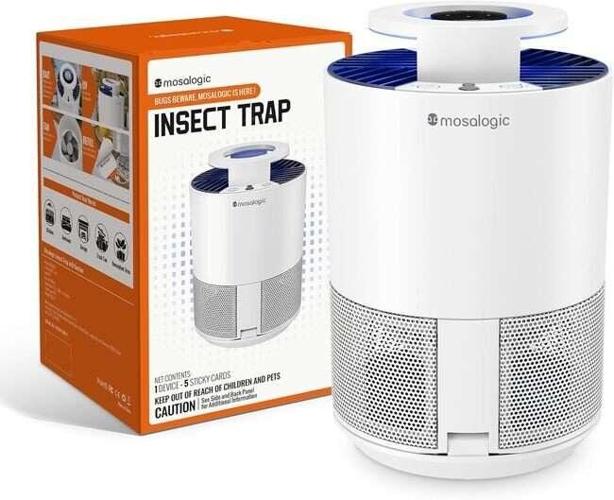 The 10 Best Gnat Killers to Eliminate Fungus Gnats for Good