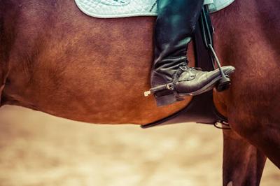 What Equipment Do You Need For A Horse?
