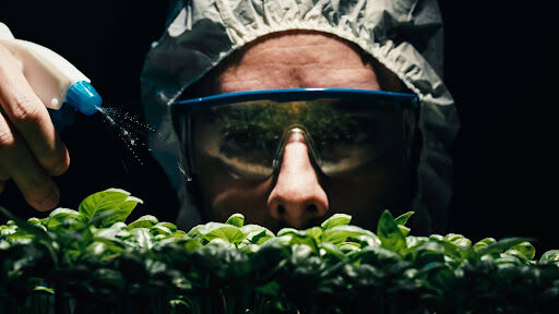 Pest Control Strategies for Grow Tent Gardens