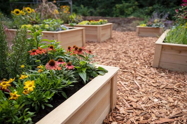 Tips for Successfully Preparing Your Raised Bed Garden for Winter