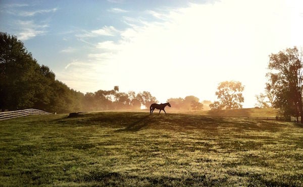 Equestrian Epoch