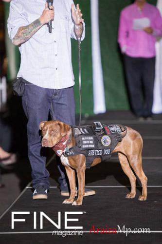 Photo by AraizaMP.com