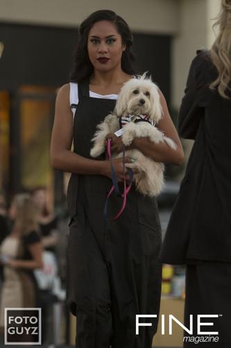 Photos by Will Grayson of Foto Guyz