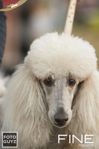 Photos by Will Grayson of Foto Guyz