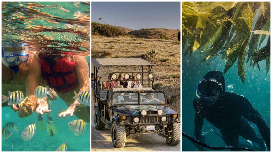 Let the Catalina Express Whisk You Away to the Island Life of Avalon