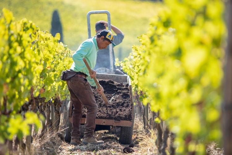 A Toast to the Tuscan Coast with Caiarossa’s Spectacular 2021 Vintage