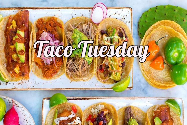 The Taco Addicts Top 5 Taco Spots in San Diego: