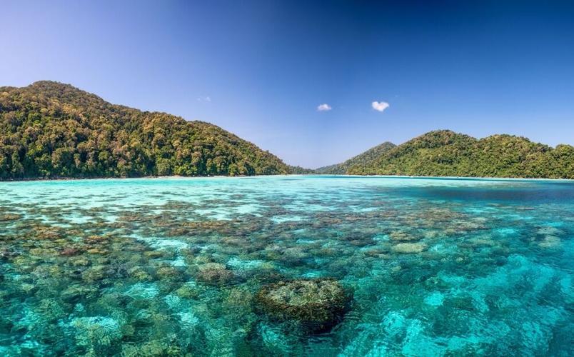Top 5 Scuba Locations in Thailand for an Unforgettable Dive Adventure