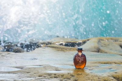 Tasty Tequila La Jolla Wins the Day