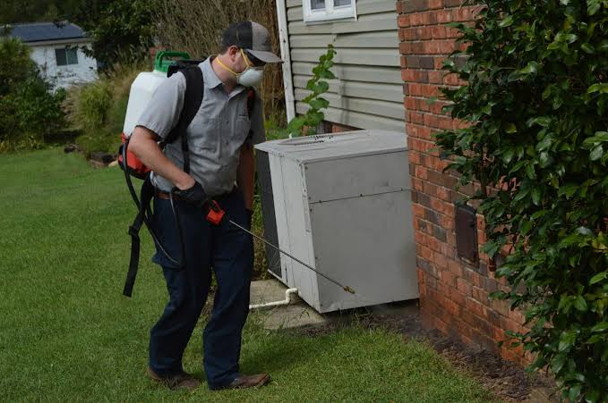 10 Top-Rated Residential Pest Control Companies to Know in Atlanta (2026)