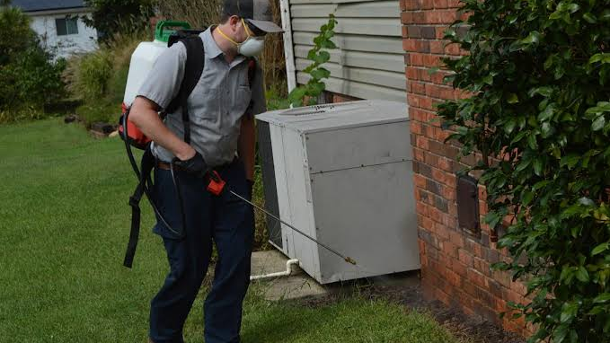 10 Top-Rated Residential Pest Control Companies to Know in Atlanta (2026)