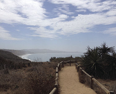 Workout with a  Happy Trail