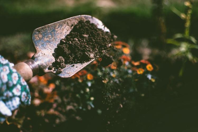 8 Easy Ways to Refresh Your Yard for Spring