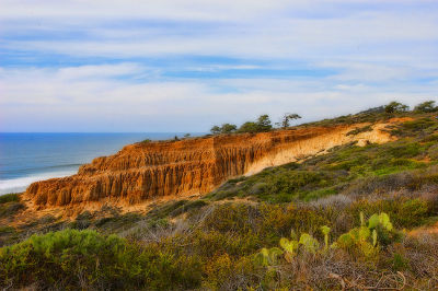 Exploring The Torrey Pines Reserve