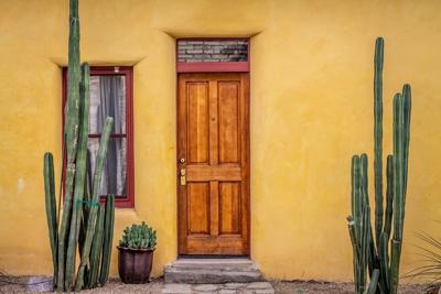 To Door or Not to Door: The Debate Between Door as a Luxury or a Necessity