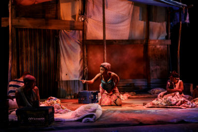 REVIEW: "The Last Tiger in Haiti" is a Twisty Tale