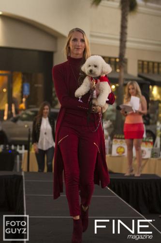 Hot Diggity Dog Fashions