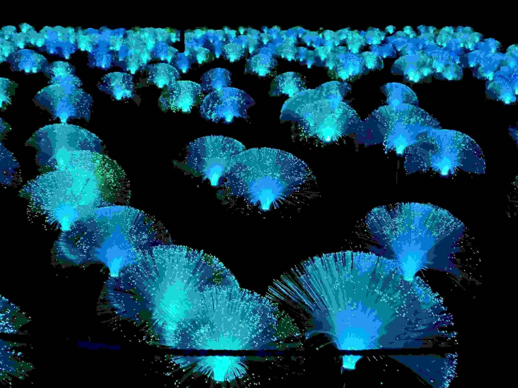 Fiber Optic Flowers