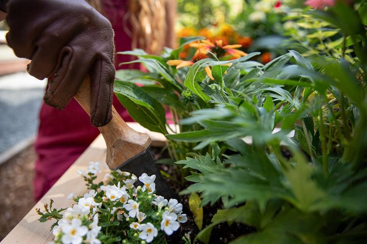 Tips for Successfully Preparing Your Raised Bed Garden for Winter