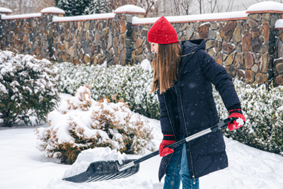 Winter Jobs For A Healthy, Blooming Garden In Spring