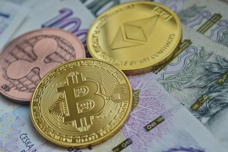 Dress to Express: The Ultimate Guide to Crypto Apparel for Enthusiasts