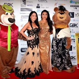 2015 Teddy Bear Ball