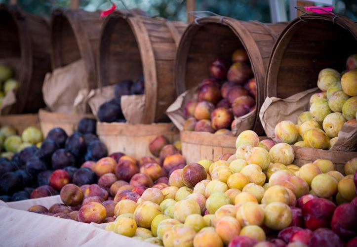 Best North County Farmers Market