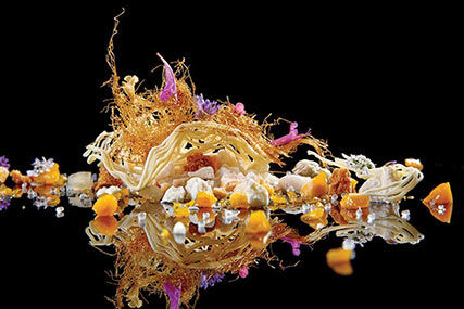 Chef Grant Achatz
