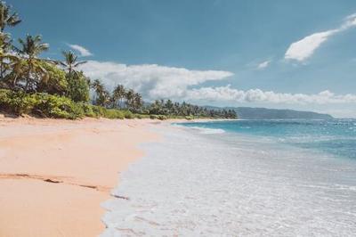 Beach In Hawaii Guide To Hit Most Beautiful Beaches